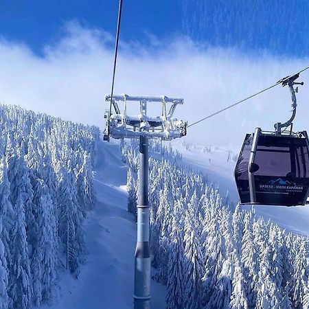 Apartments Gondola Foka - 600M From Gondola Ski Lift Kopaonik Exterior foto