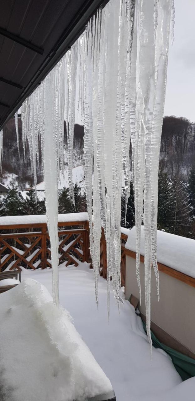 Apartments Gondola Foka - 600M From Gondola Ski Lift Kopaonik Exterior foto